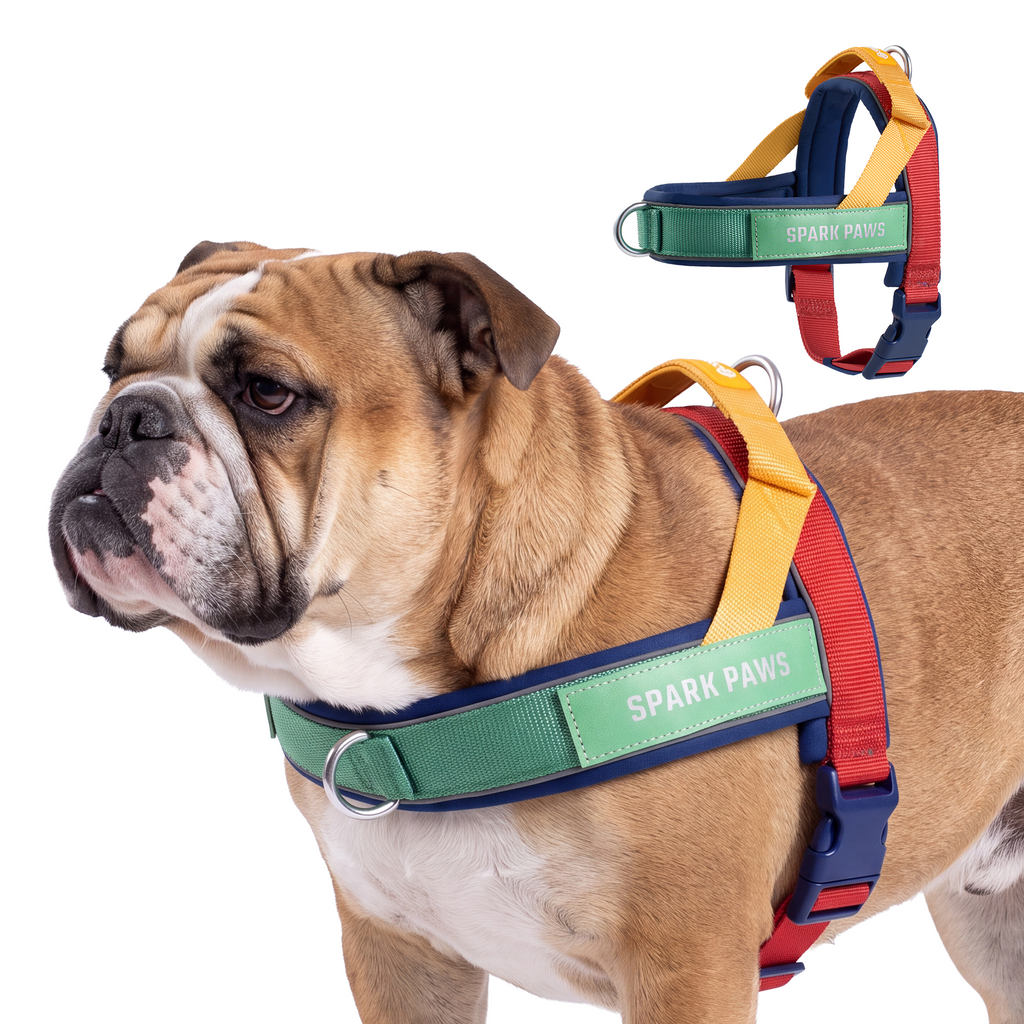 Grab & Go Harness