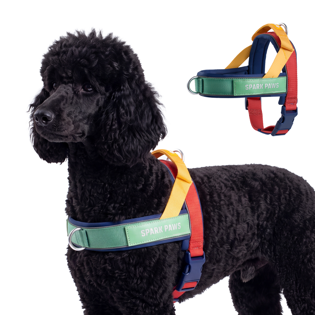 Grab & Go Harness