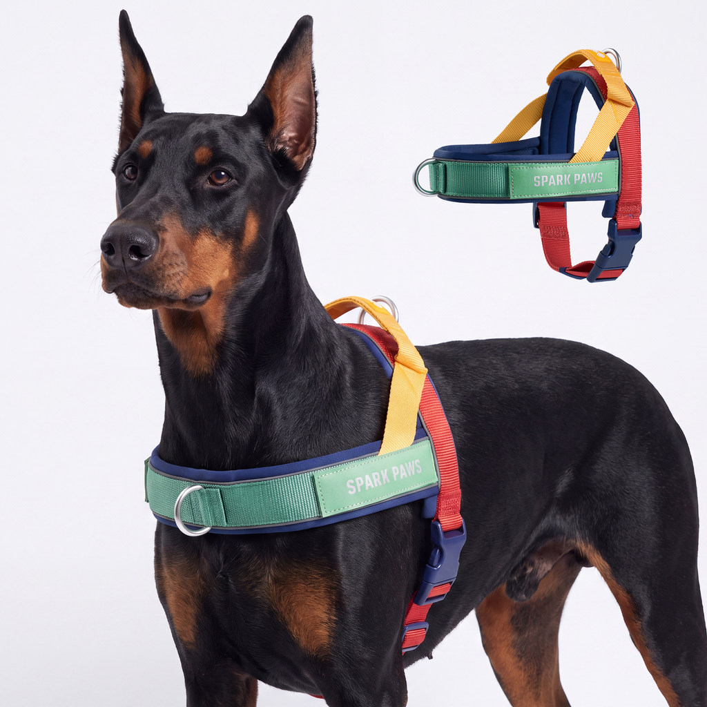 Grab & Go Harness