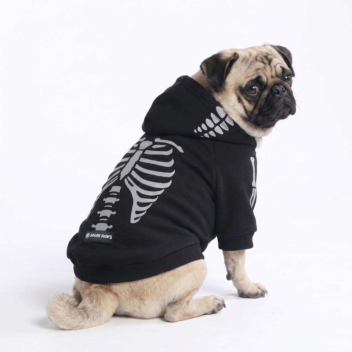 Halloween Dog Hoodies (Limited Edition)