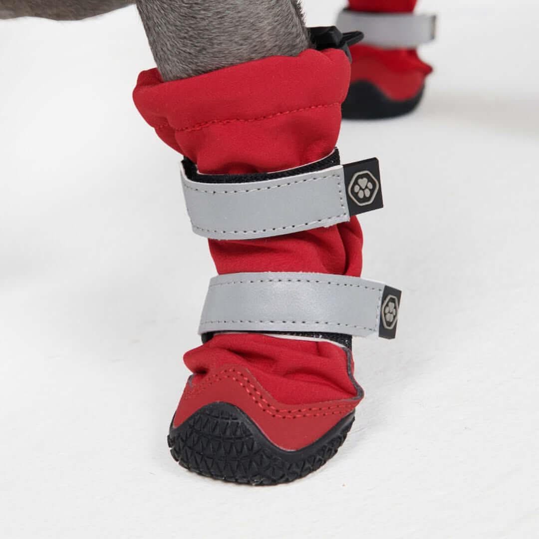 Dog Rainboots. Waterproof Dog Shoes