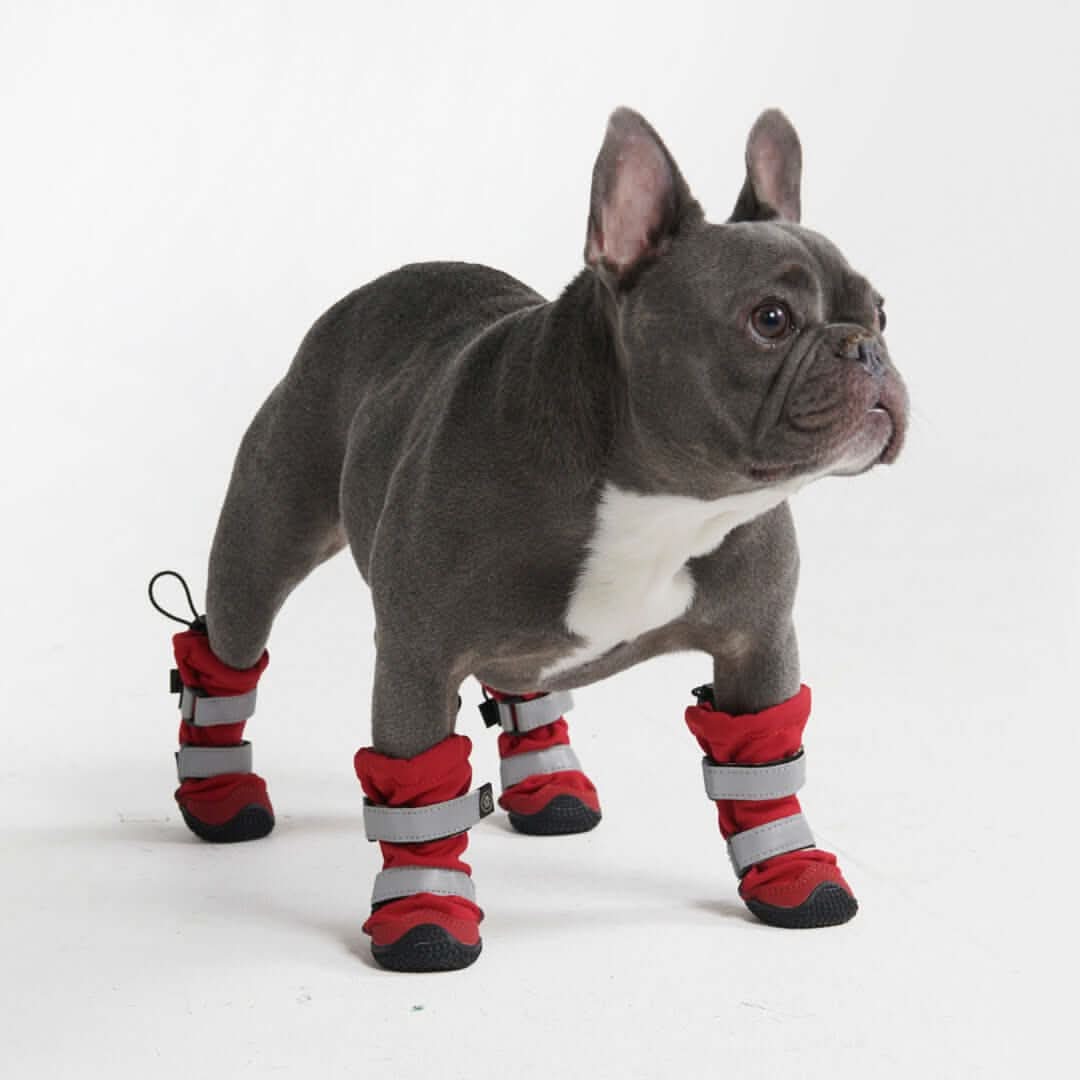 Dog Rainboots. Waterproof Dog Shoes