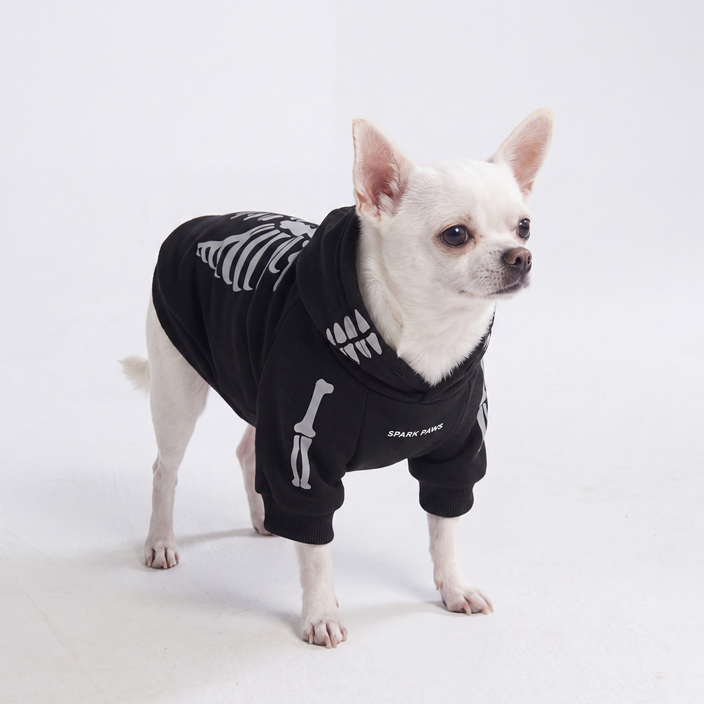 Halloween Dog Hoodies (Limited Edition)