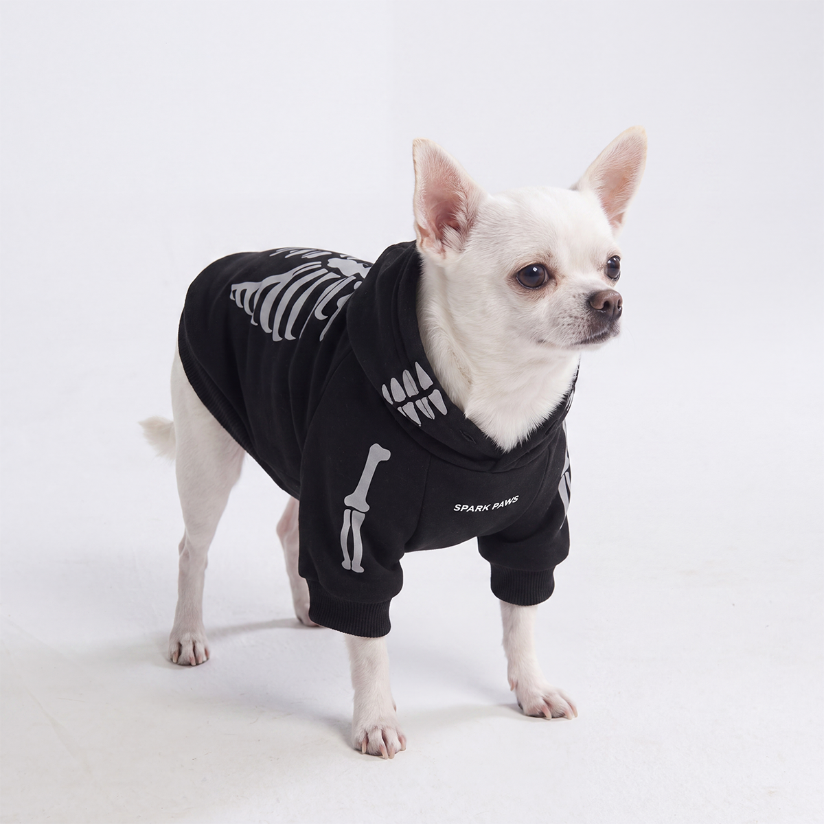 Halloween Dog Hoodies (Limited Edition)