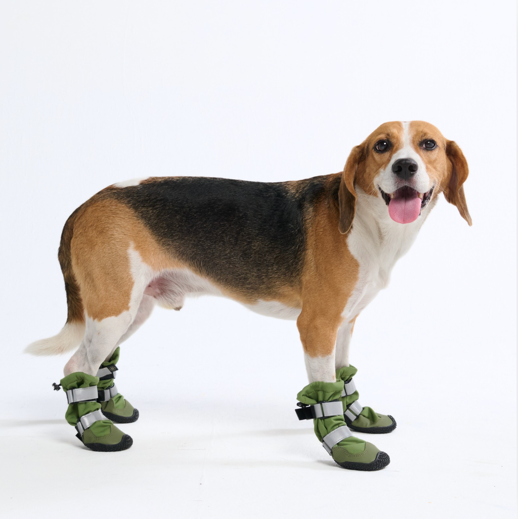 Dog Rainboots. Waterproof Dog Shoes