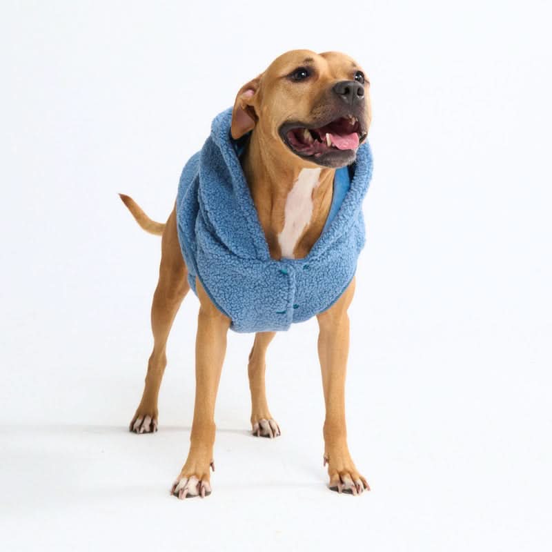 Teddy Sherpa Dog Jackets