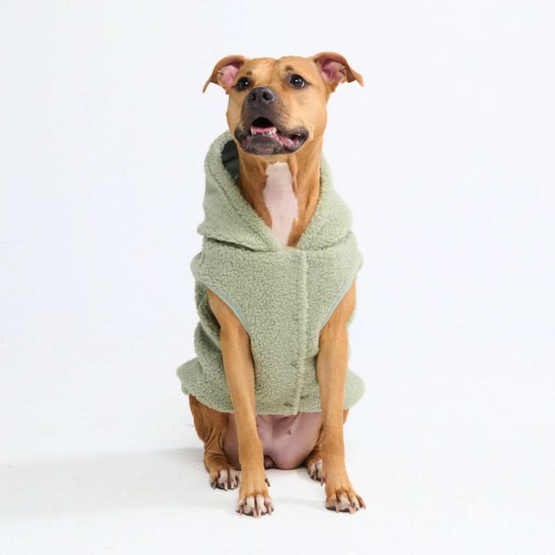 Teddy Sherpa Dog Jackets