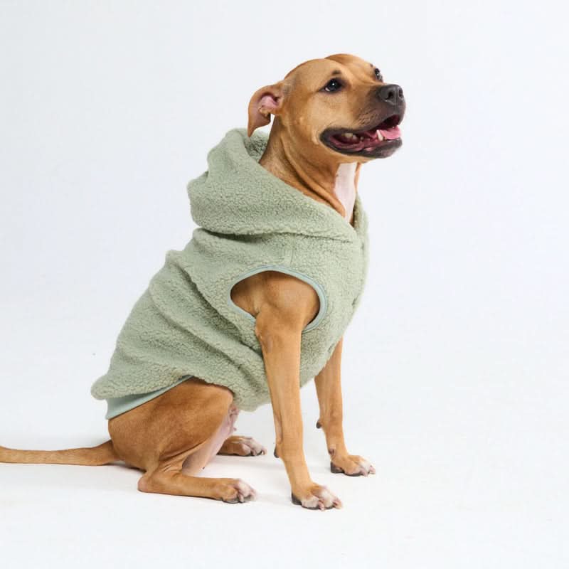 Teddy Sherpa Dog Jackets