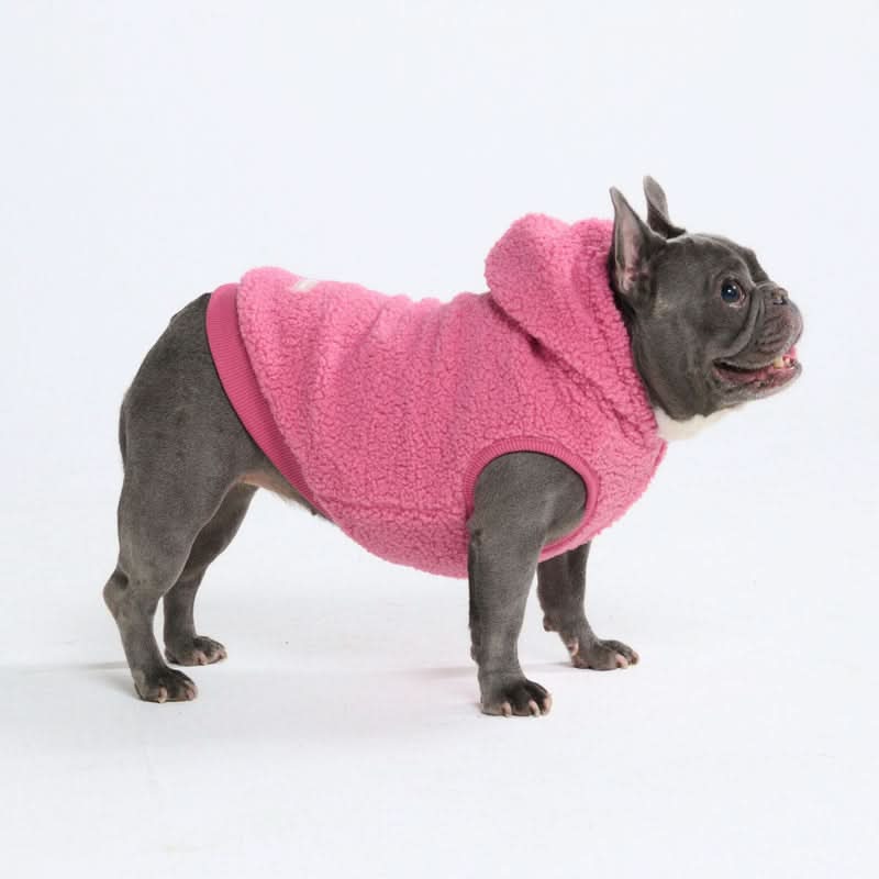 Teddy Sherpa Dog Jackets