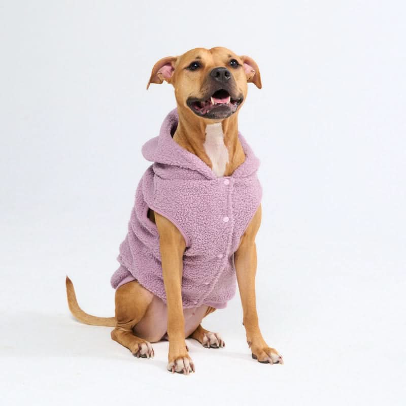 Teddy Sherpa Dog Jackets