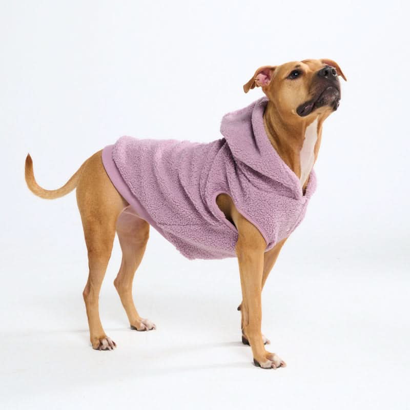 Teddy Sherpa Dog Jackets