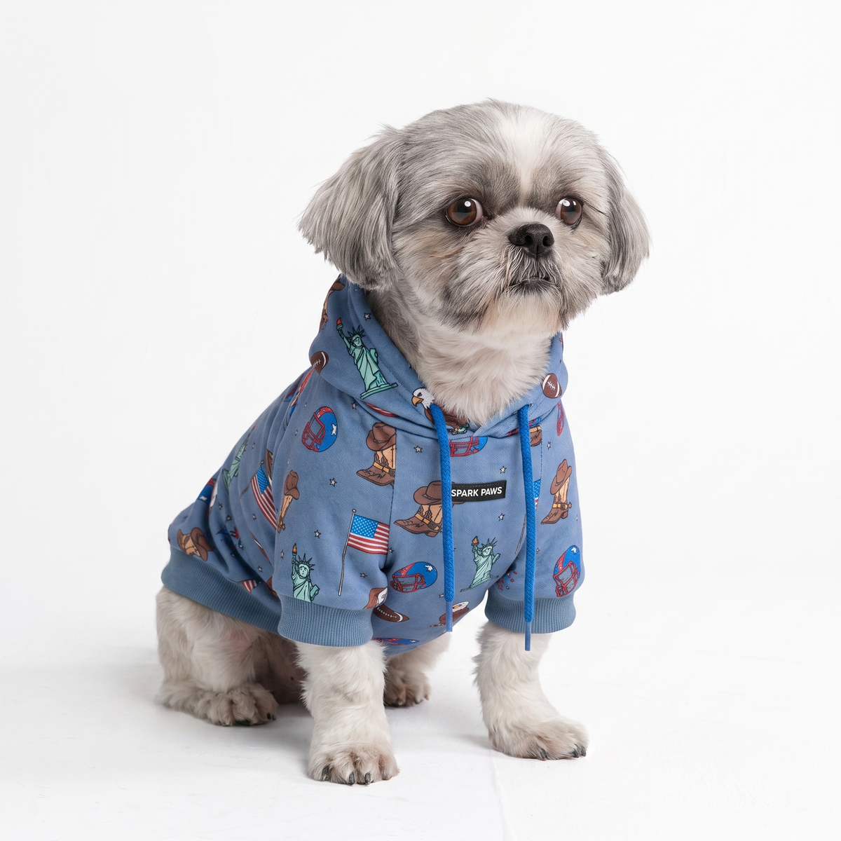 Around the World Dog Hoodies