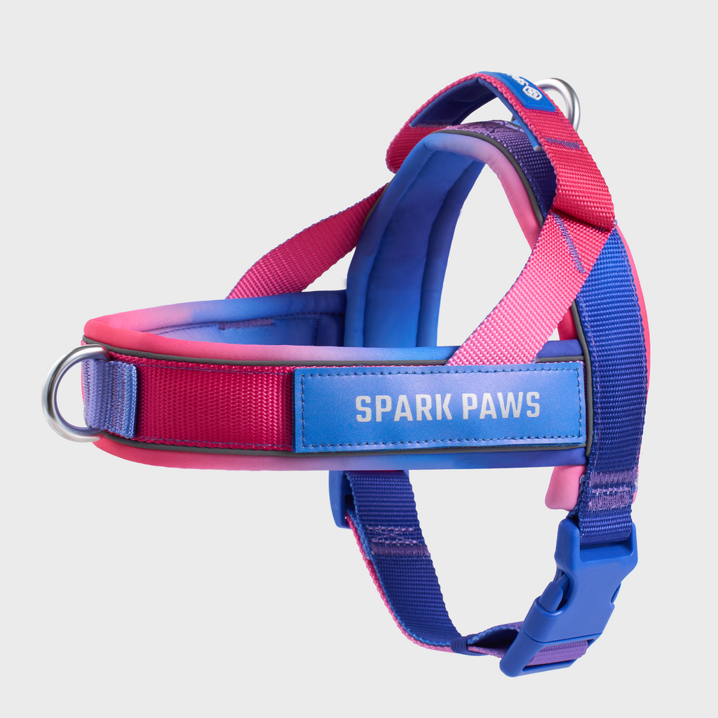 Grab & Go Harness