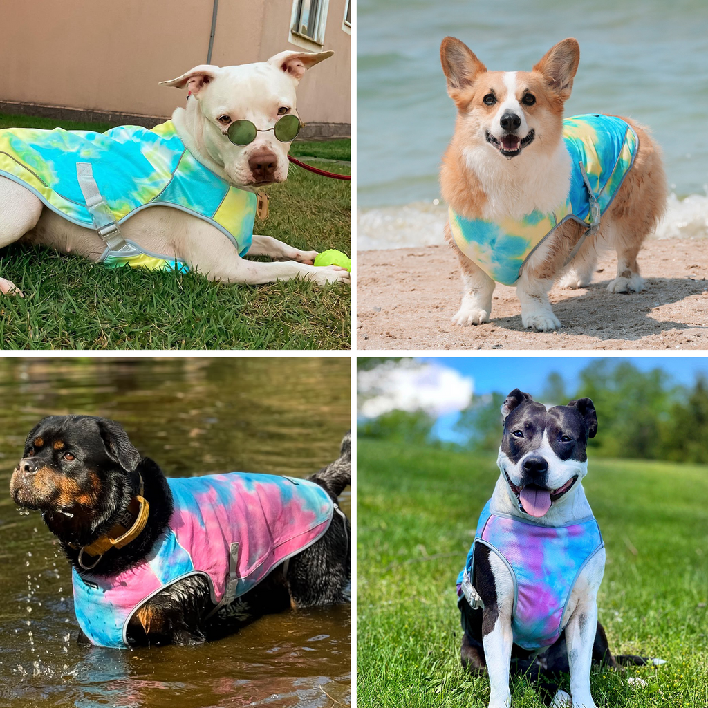 Chilltech™ Dog Cooling Vest 2 Pack