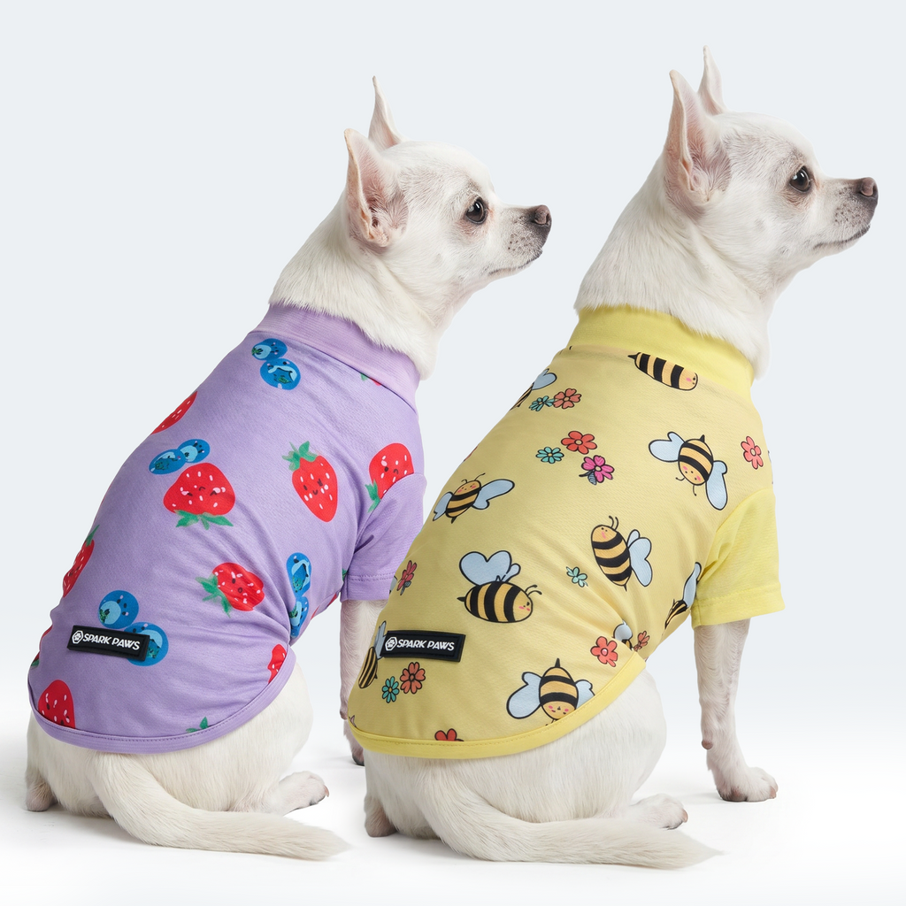 Sunblock Dog T-Shirt 2-pack