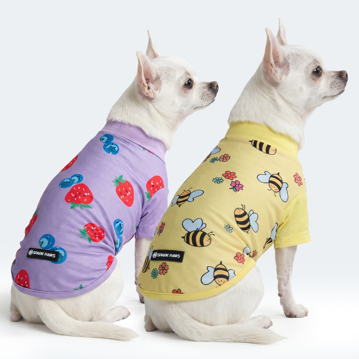 Sunblock Dog T-Shirt 2-pack