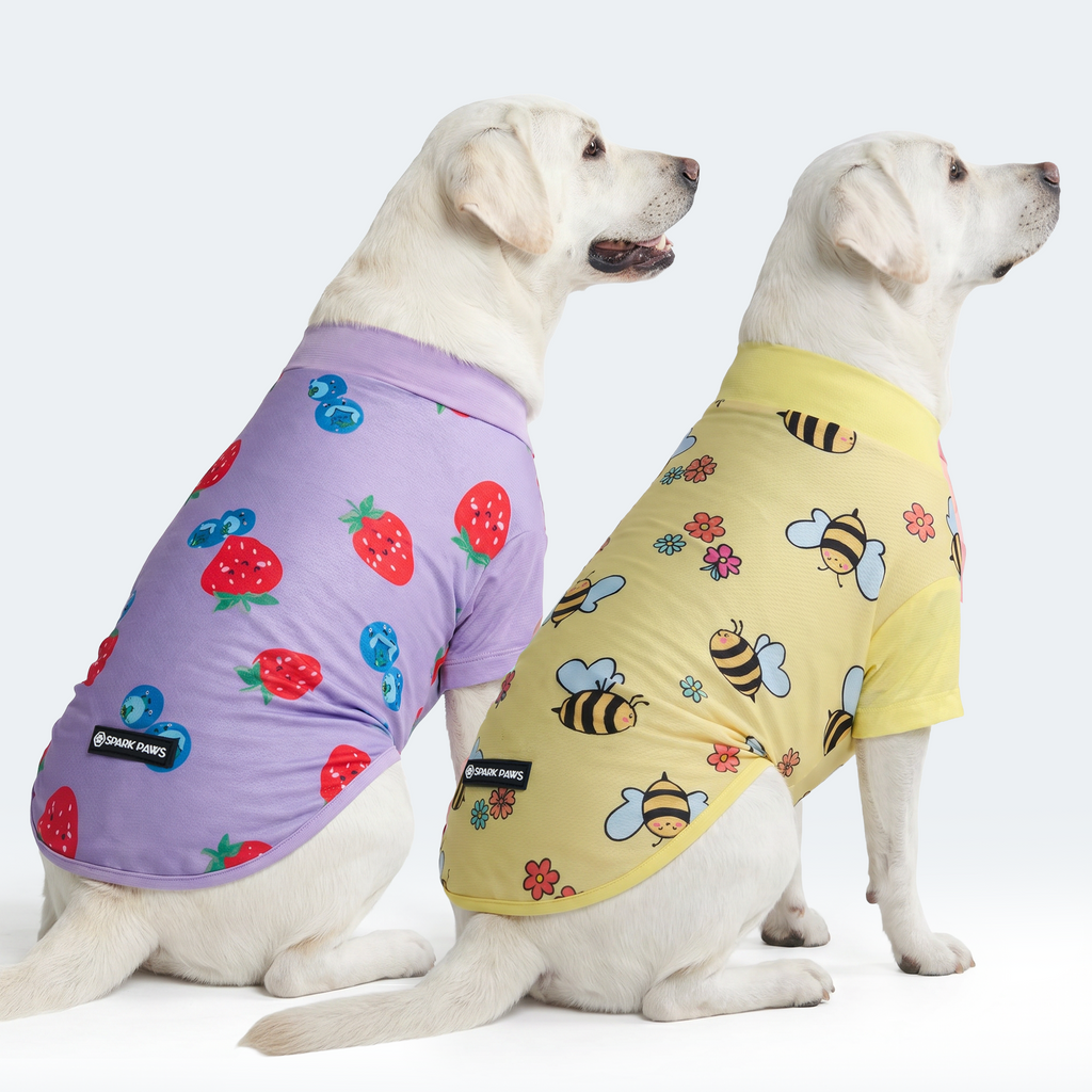 Sunblock Dog T-Shirt 2-pack