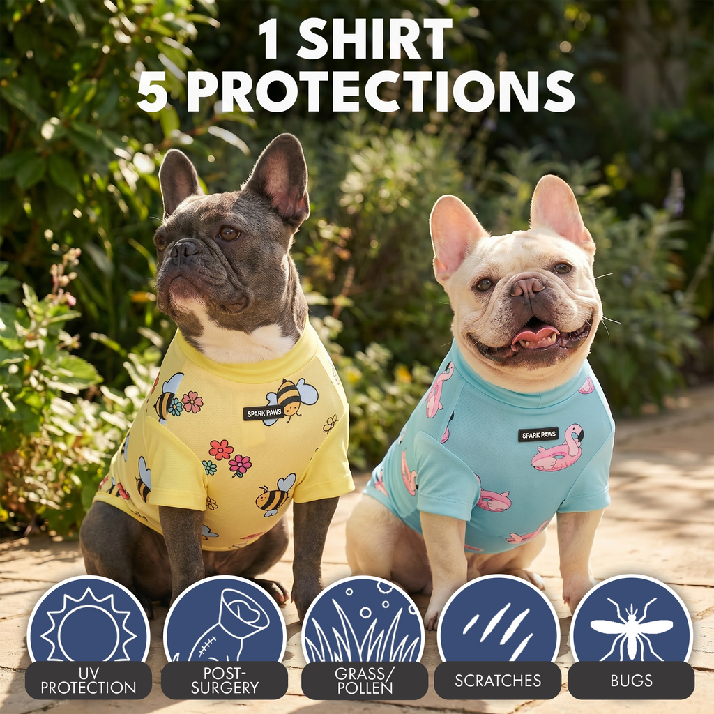 Sunblock Dog T-Shirt 2-pack