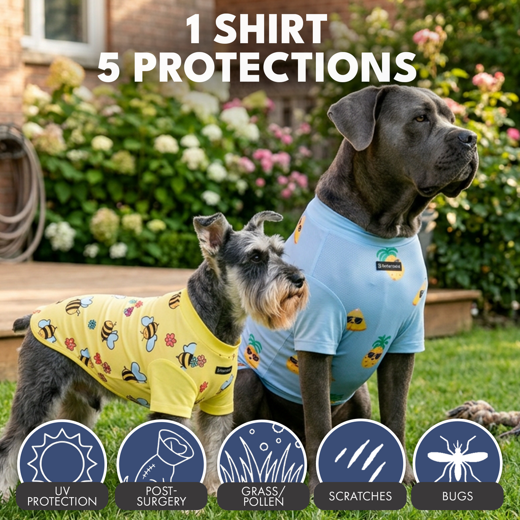 Sunblock Dog T-Shirt 2-pack
