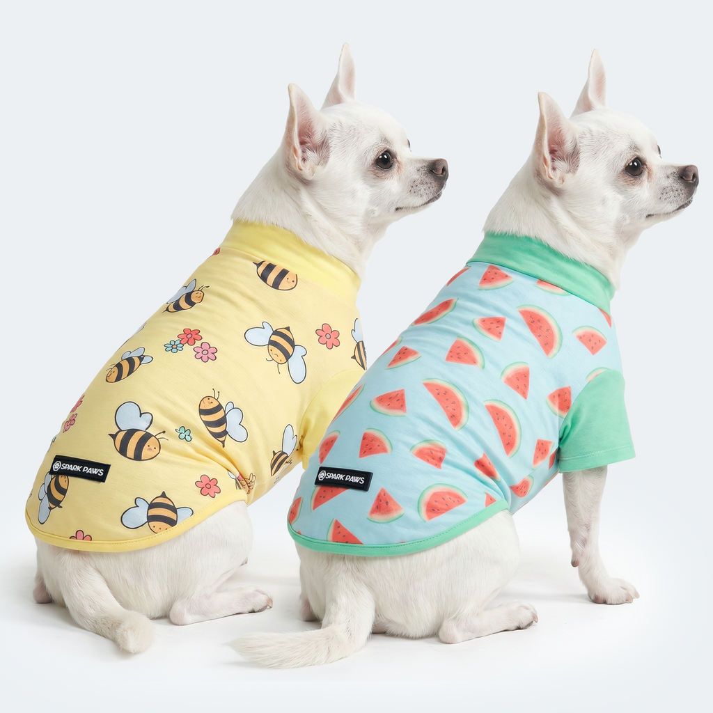 Sunblock Dog T-Shirt 2-pack