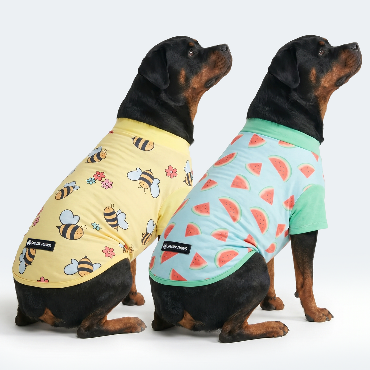 Sunblock Dog T-Shirt 2-pack