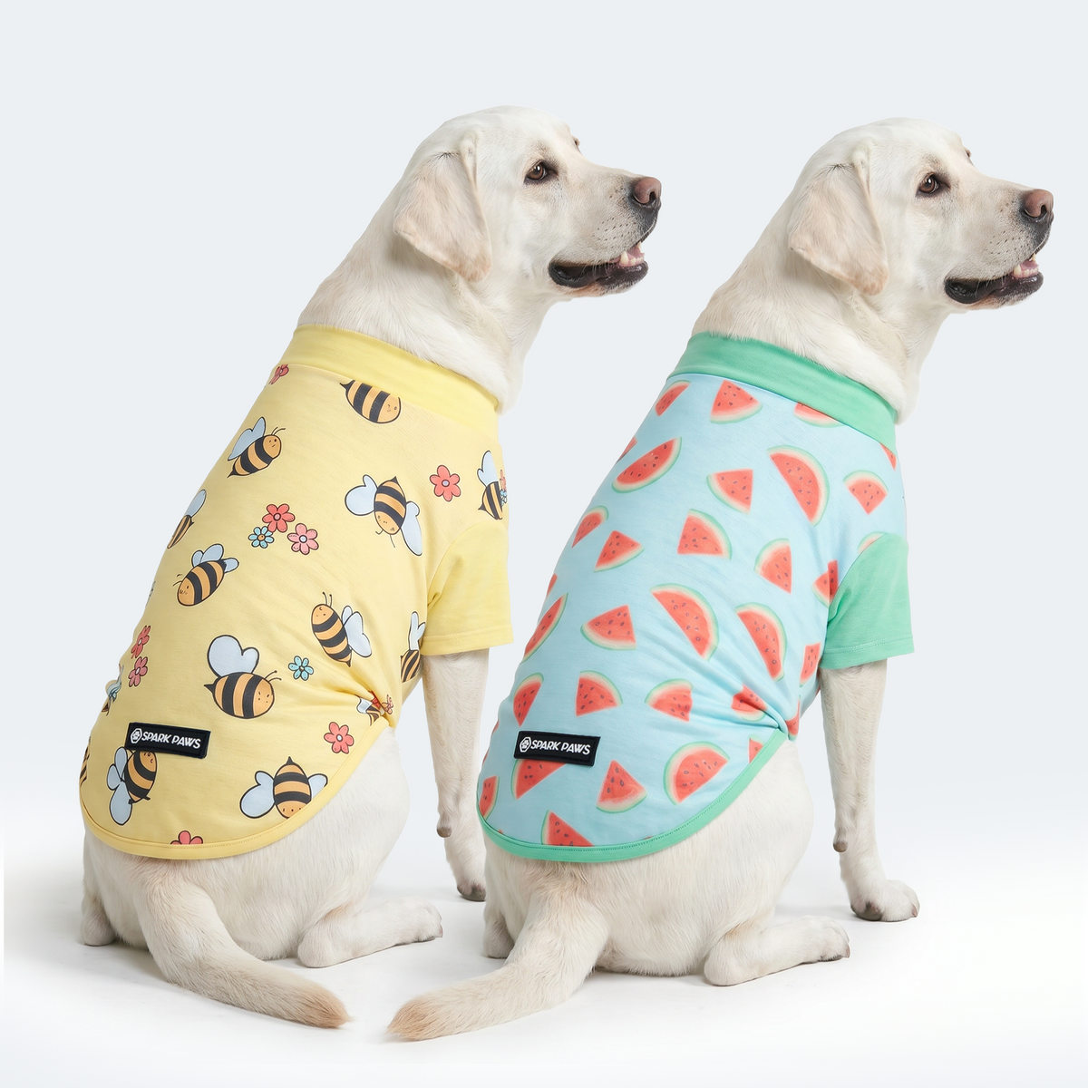 Sunblock Dog T-Shirt 2-pack
