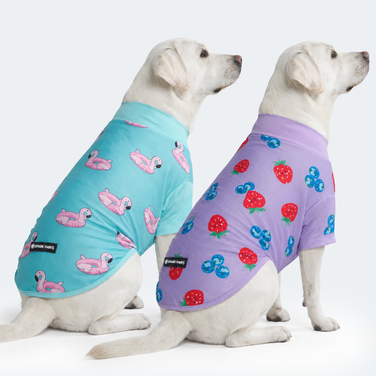 Sunblock Dog T-Shirt 2-pack