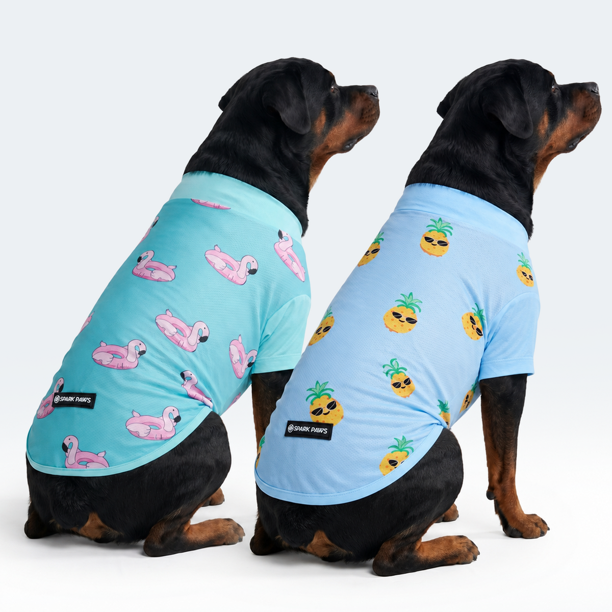 Sunblock Dog T-Shirt 2-pack