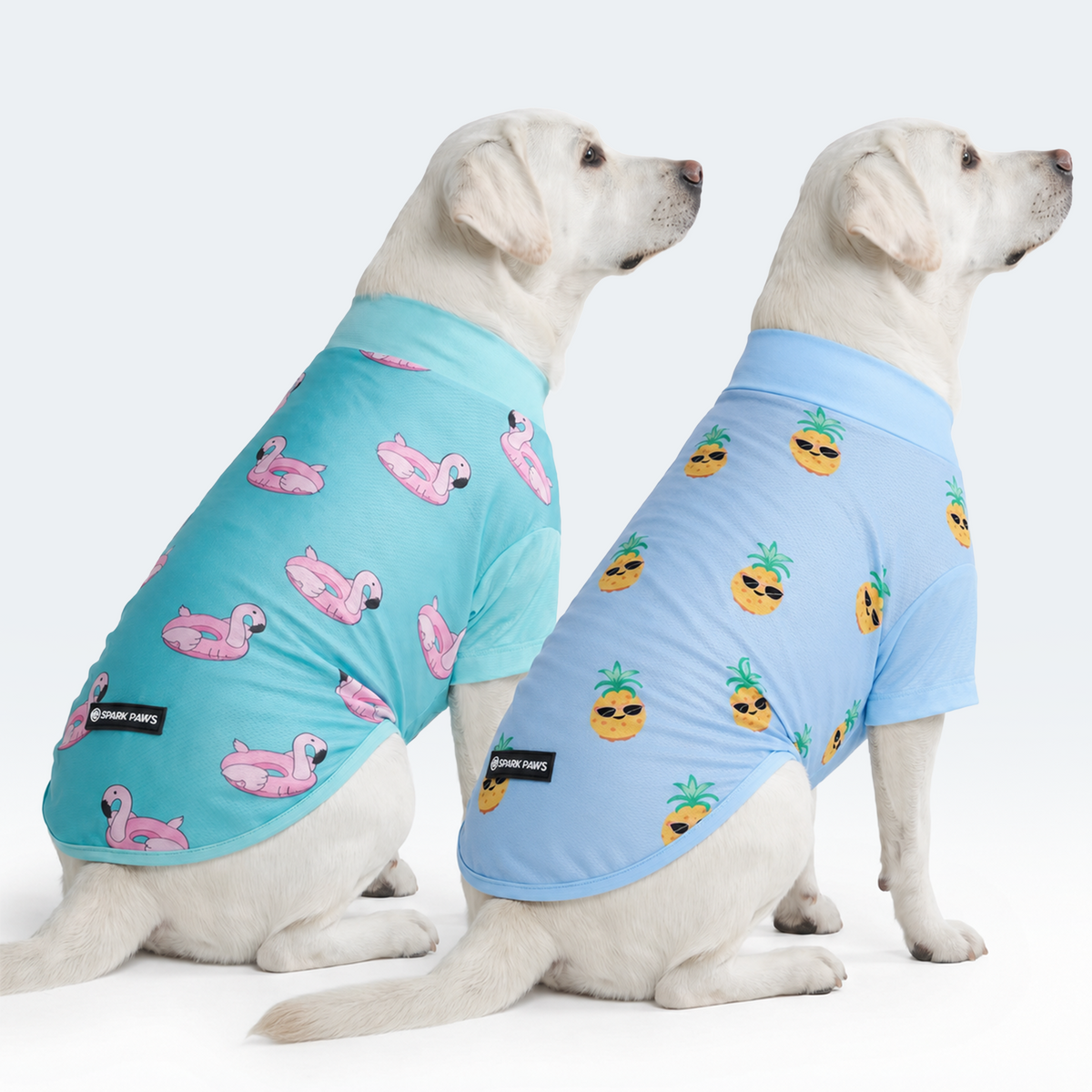 Sunblock Dog T-Shirt 2-pack