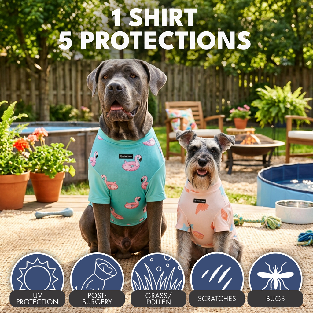 Sunblock Dog T-Shirt 2-pack