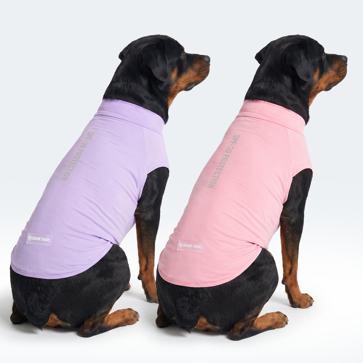 Sunblock Dog T-Shirt 2-pack