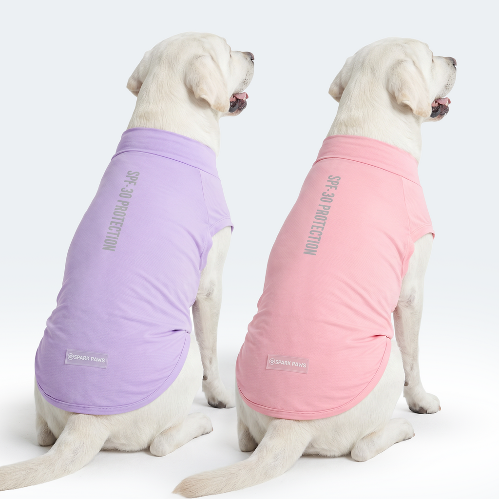 Sunblock Dog T-Shirt 2-pack
