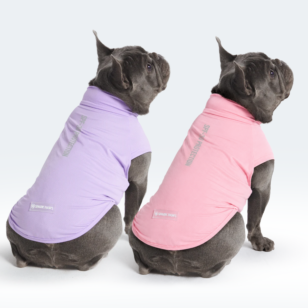 Sunblock Dog T-Shirt 2-pack