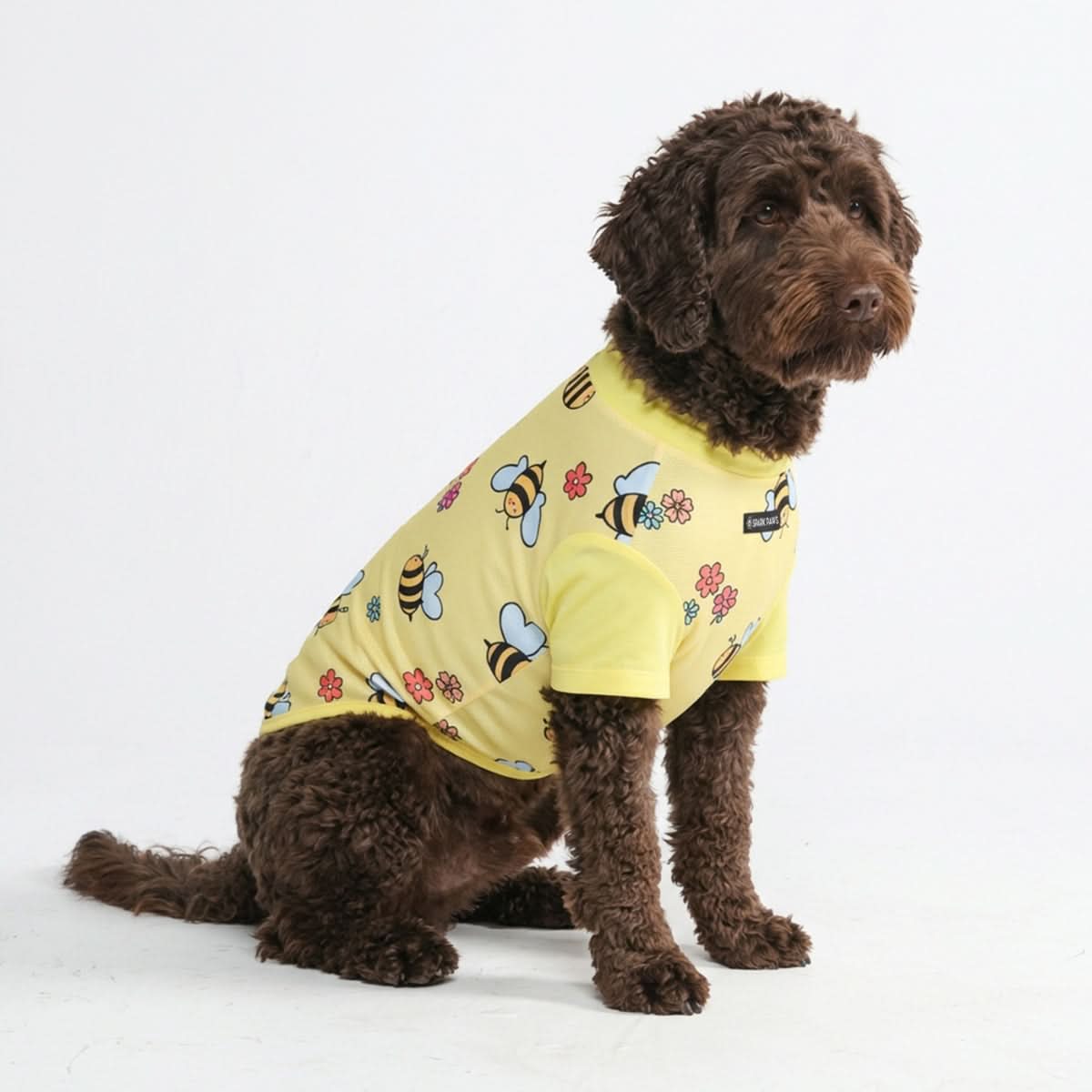 Sunblock Dog T-Shirt - Prints