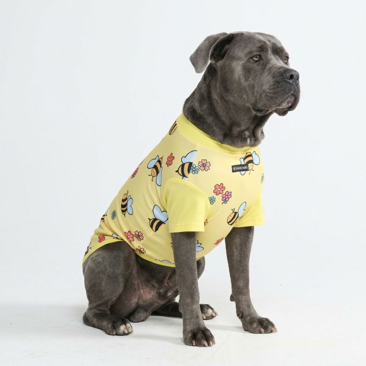 Sunblock Dog T-Shirt - Prints