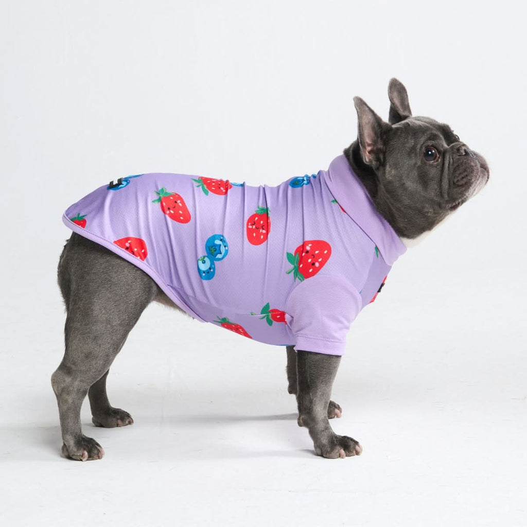 Sunblock Dog T-Shirt - Prints