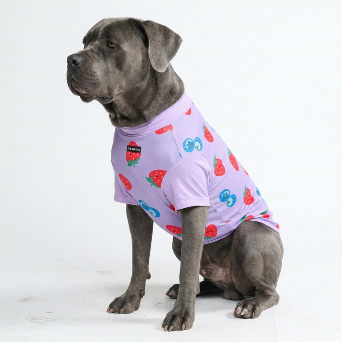 Sunblock Dog T-Shirt - Prints