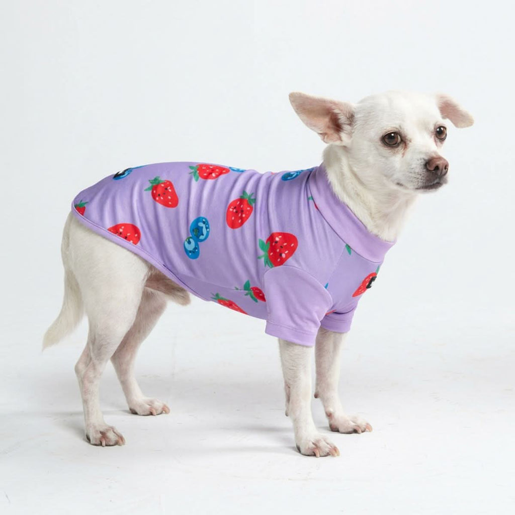 Sunblock Dog T-Shirt - Prints
