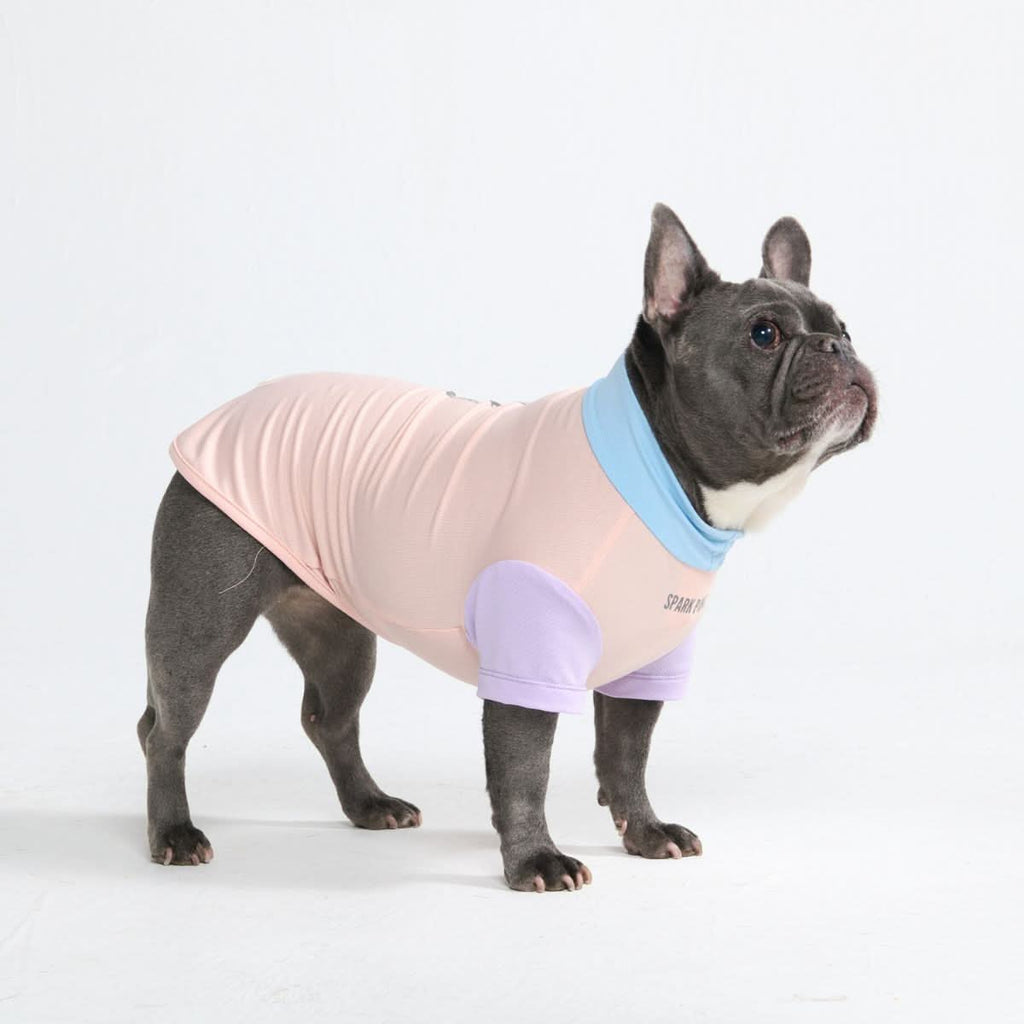 Sunblock Dog T-Shirt - Color Block