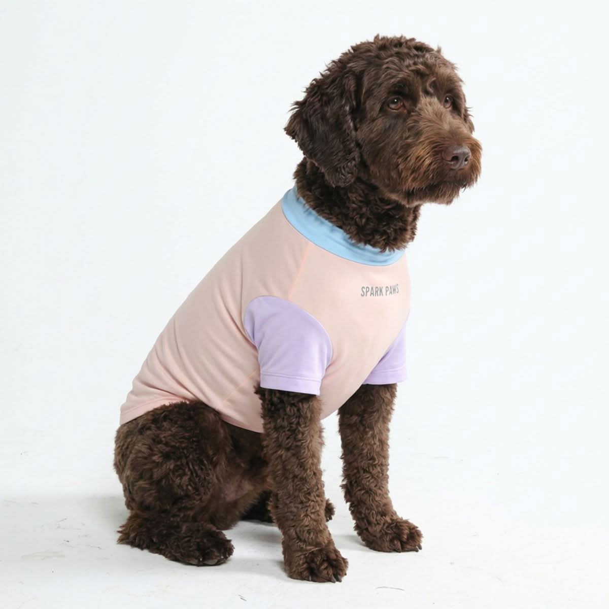 Sunblock Dog T-Shirt - Color Block
