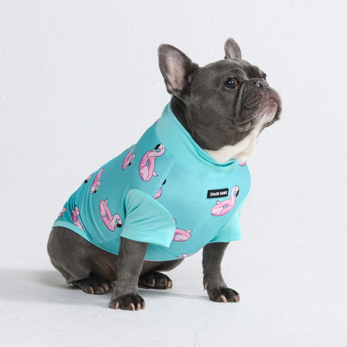 Sunblock Dog T-Shirt - Prints