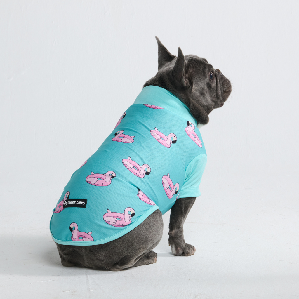 Sunblock Dog T-Shirt - Prints