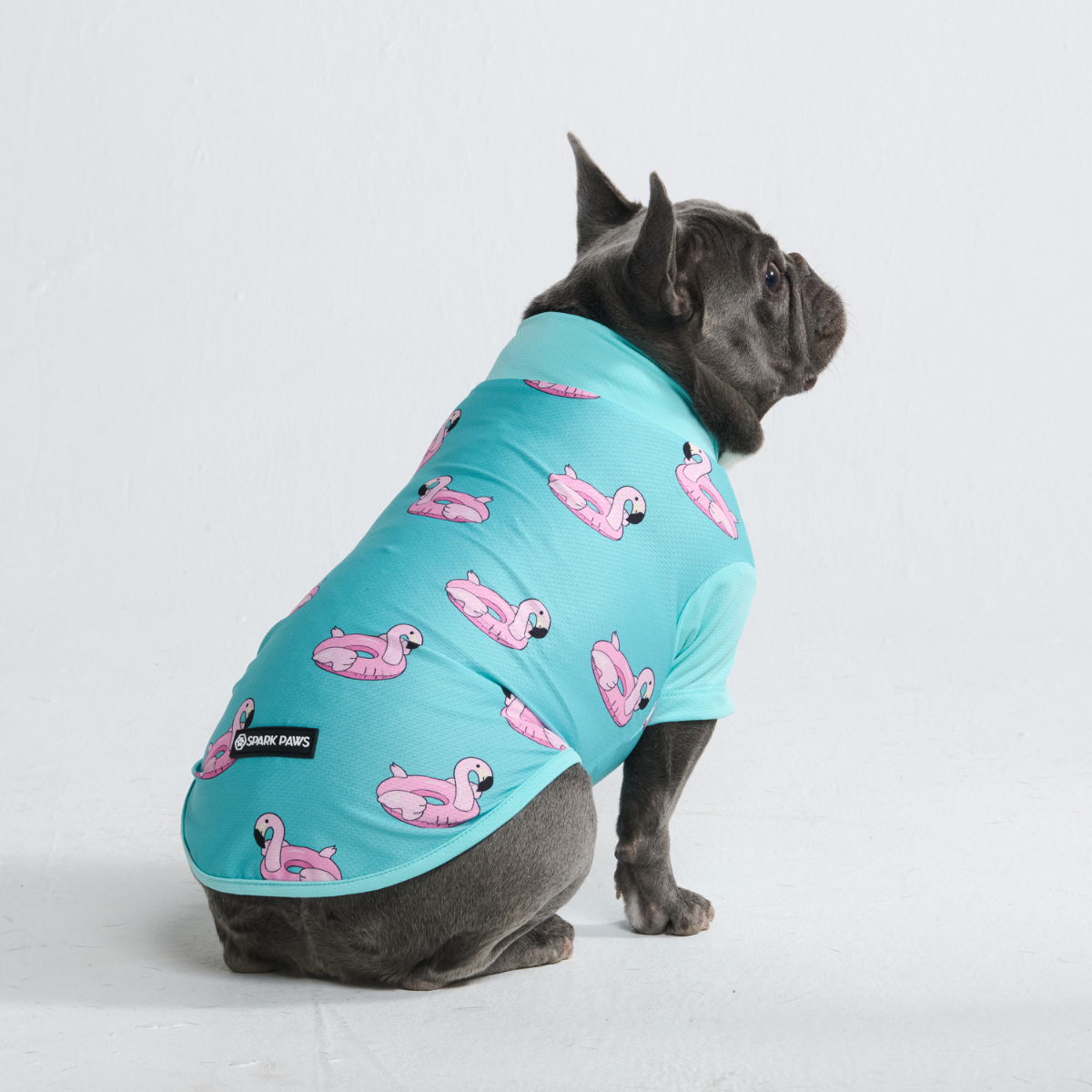 Sunblock Dog T-Shirt - Prints