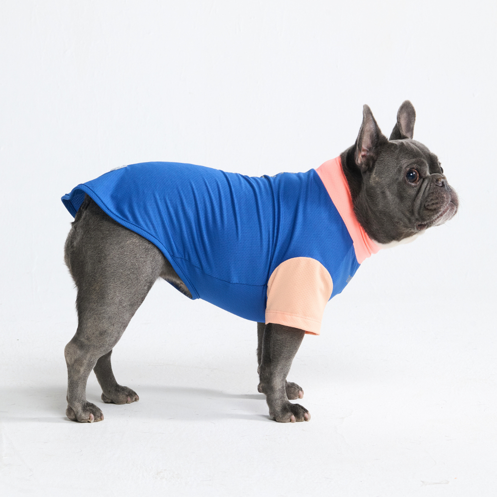 Sunblock Dog T-Shirt - Color Block