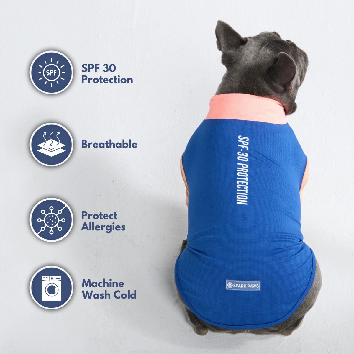 Sunblock Dog T-Shirt - Color Block
