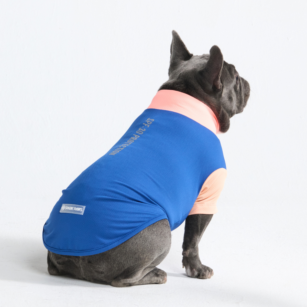 Sunblock Dog T-Shirt - Color Block