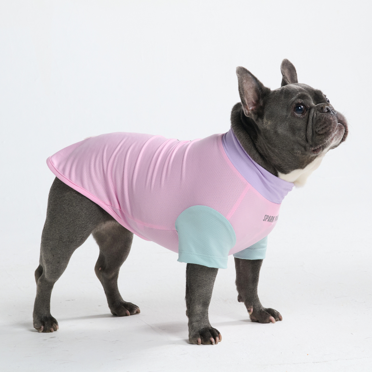Sunblock Dog T-Shirt - Color Block