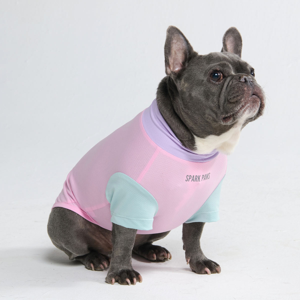 Sunblock Dog T-Shirt - Color Block