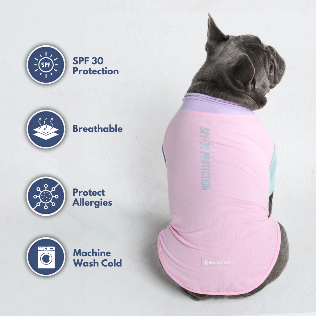 Sunblock Dog T-Shirt - Color Block