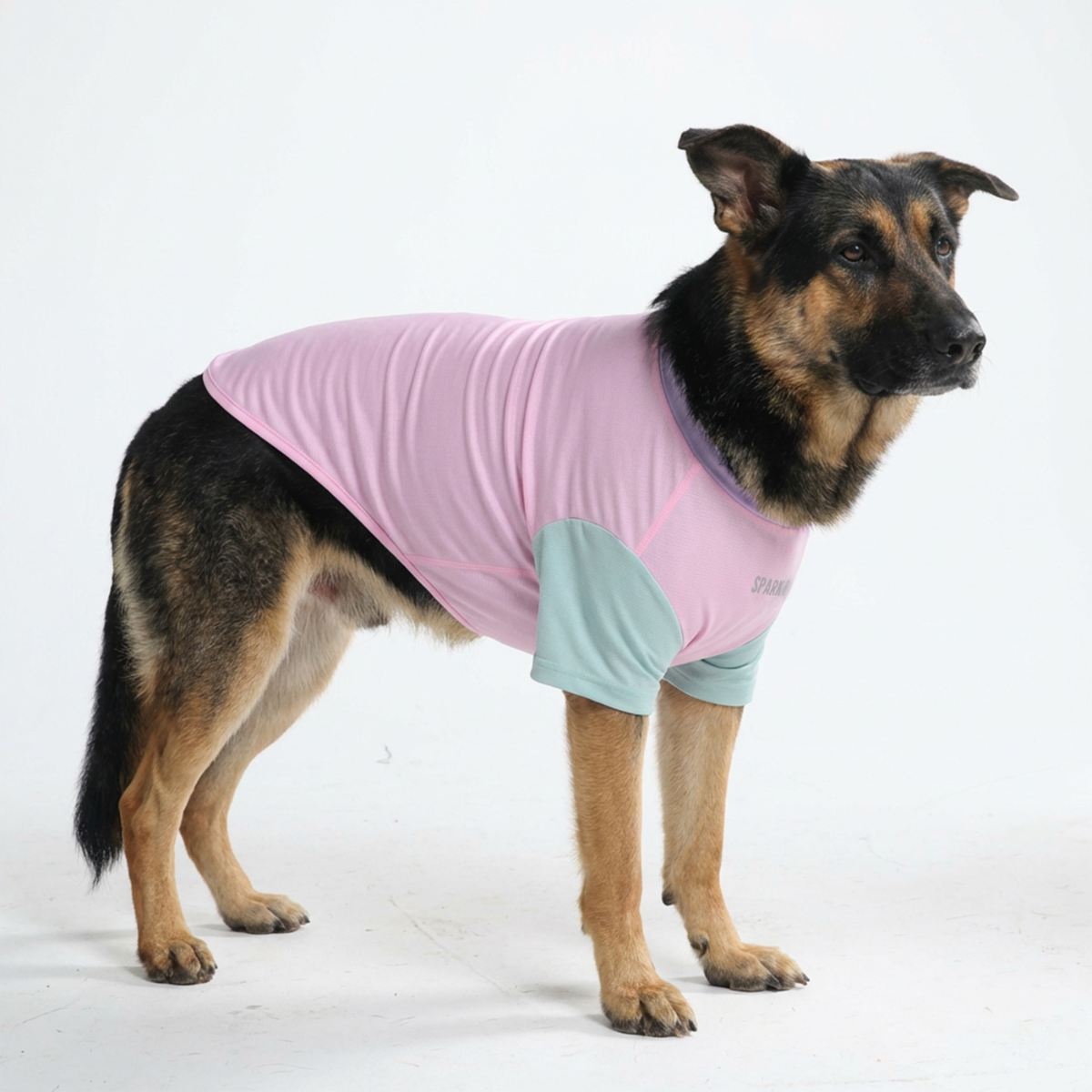 Sunblock Dog T-Shirt - Color Block